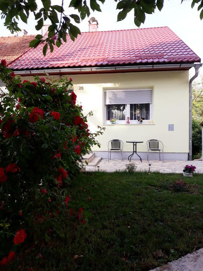 Gospic Riverside Apartment Екстериор снимка